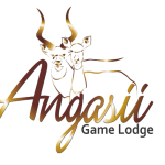 Angasii Game Lodge | Northam | Accommodation